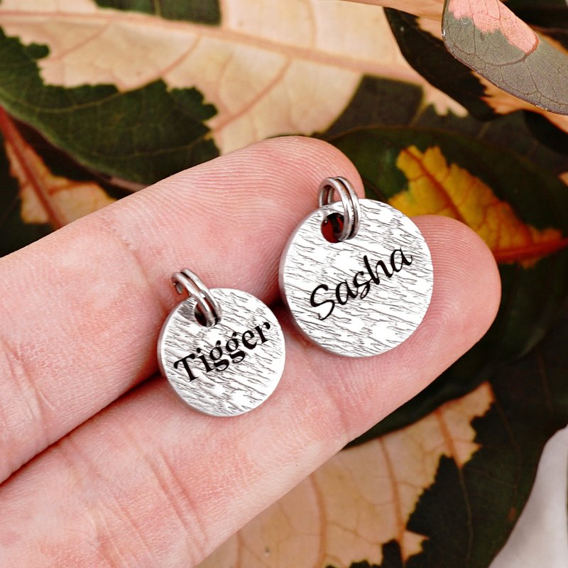 猫牌 定制猫牌 小猫牌 个性化标签 虎纹宠物牌 - 项圈/牵绳 - 不锈钢 银色