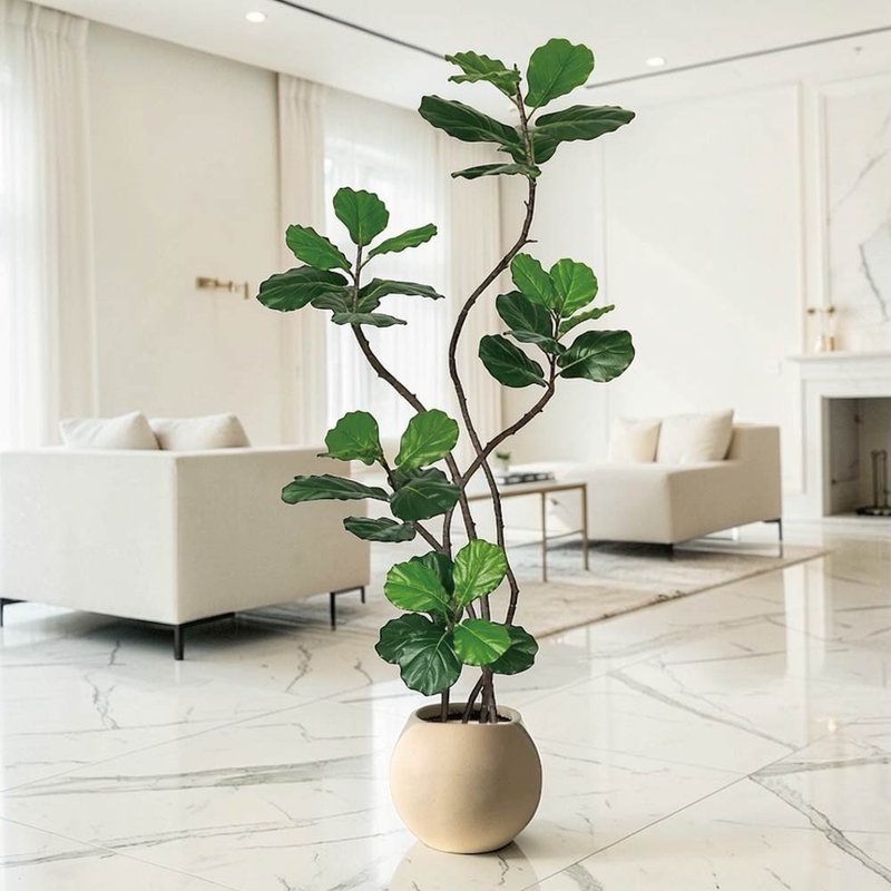 居家法式复古琴叶榕 1.8 米室内大型仿真植栽 (赠送花盆) - 摆饰 - 塑料 绿色