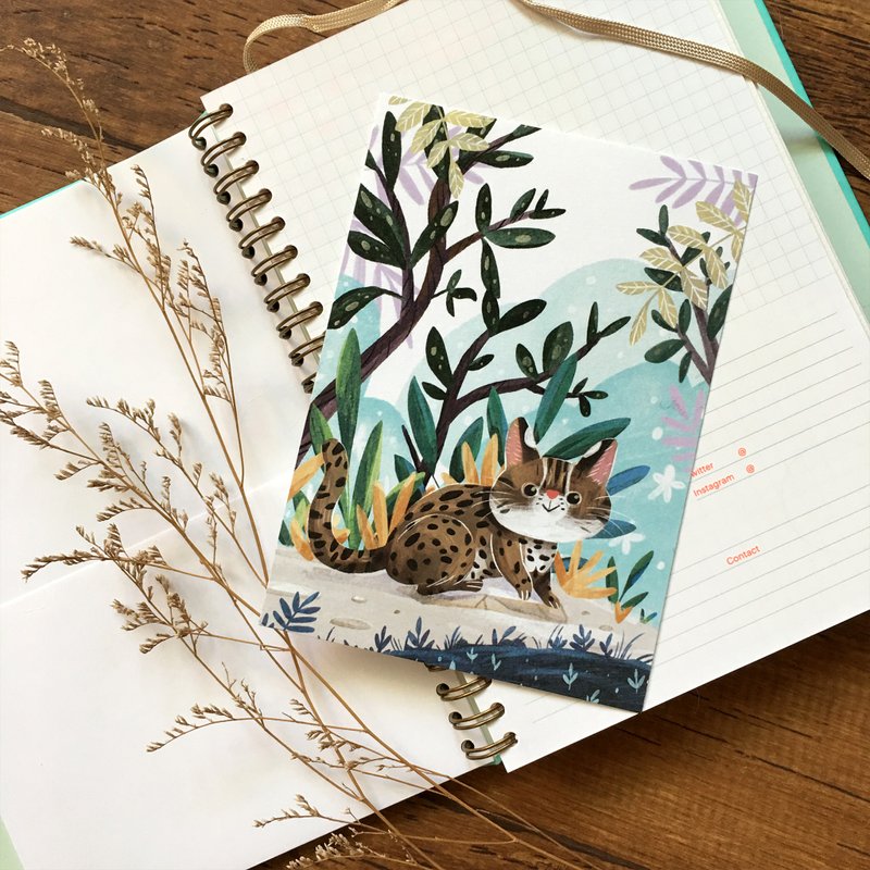 巧遇石虎 l 插画明信片 - 卡片/明信片 - 纸 白色