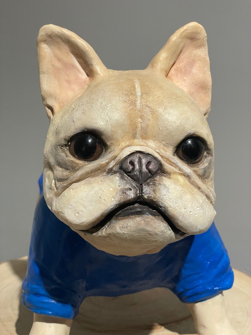 宠物公仔 公仔订做 猫公仔 狗公仔 定制化 38-40 厘米 - 订制抱枕/饰品 - 其他材质 多色