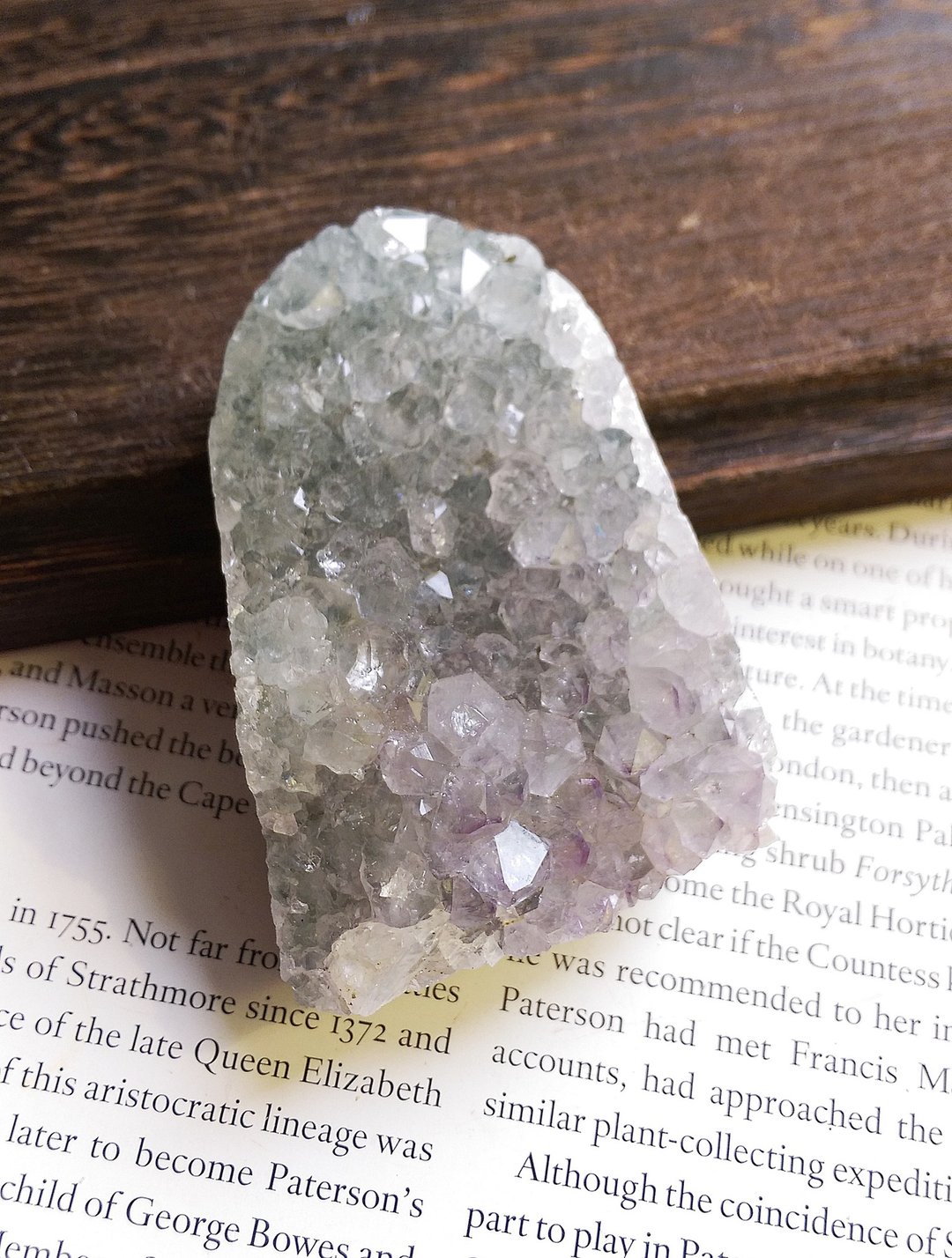Amethyst 巴西产地 原皮紫水晶  天然矿石 原矿 - 摆饰 - 其他材质 