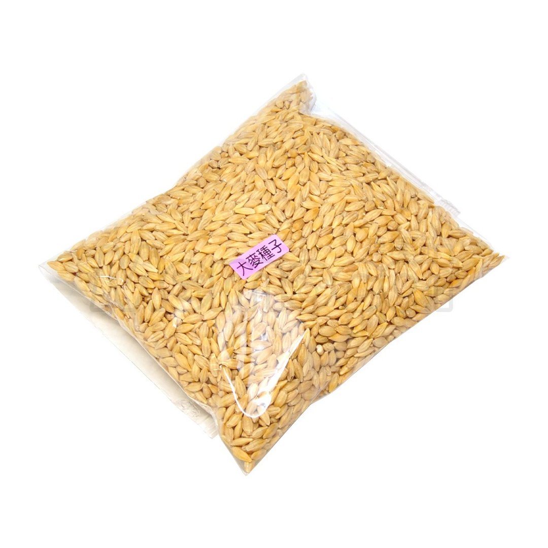 【MOMOCAT】大麦猫草种子 250g - 其他 - 植物．花 