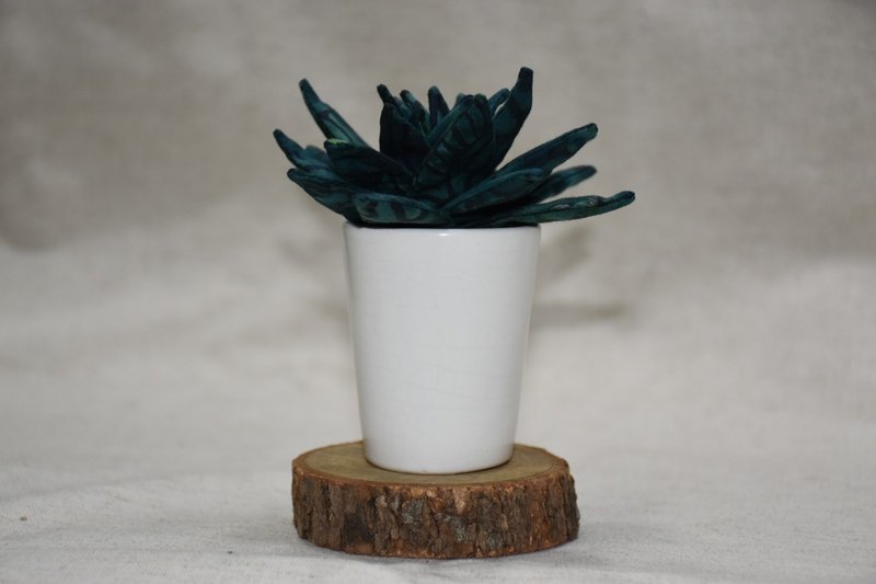 多肉植物 - 植栽/盆栽 - 棉．麻 