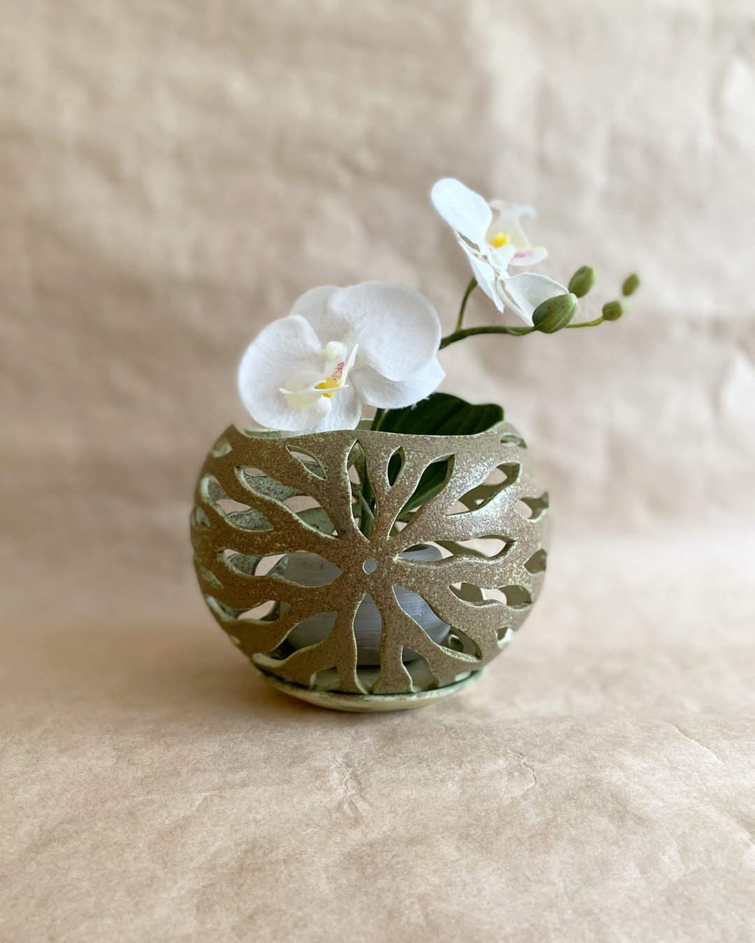 Orchid pot,Orchid planter,Plant Pot,Planter ceramic,Designer Orchid pot - 植栽/盆栽 - 陶 绿色