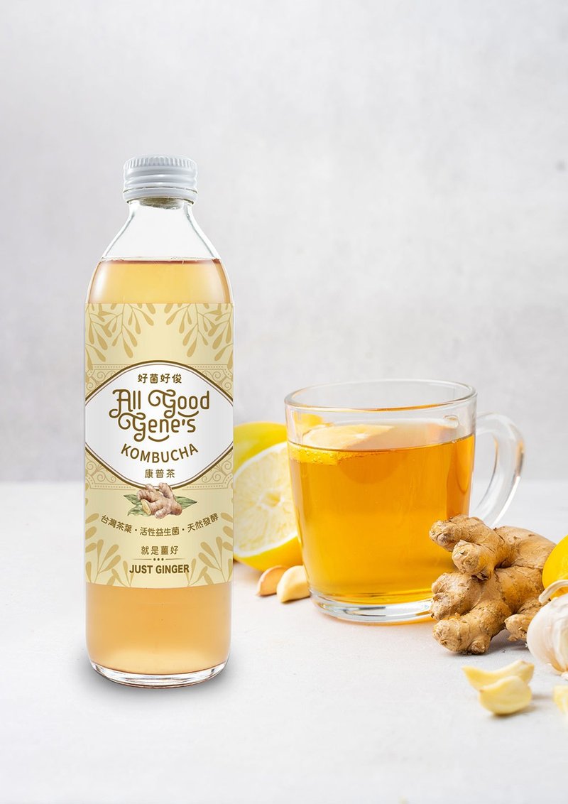 All Good Gene's 就是姜好康普茶12瓶 /300ml Just Ginger - 茶 - 新鲜食材 