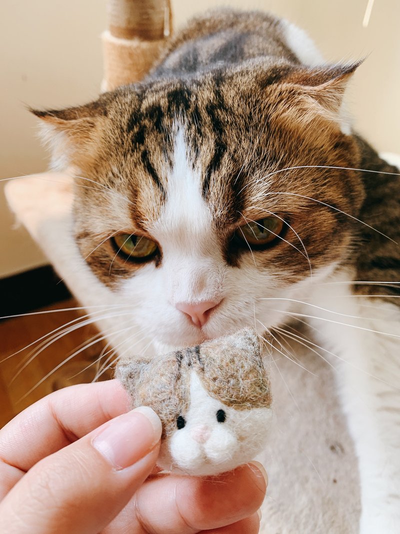 羊毛毡手作课 - 定制化豆丁眼猫猫 附材料工具 - 编织/羊毛毡/布艺 - 羊毛 