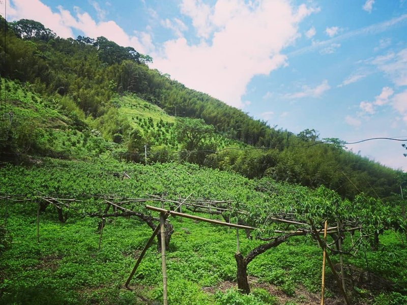 在地体验_富自山中来 - 深度旅游 - 其他材质 