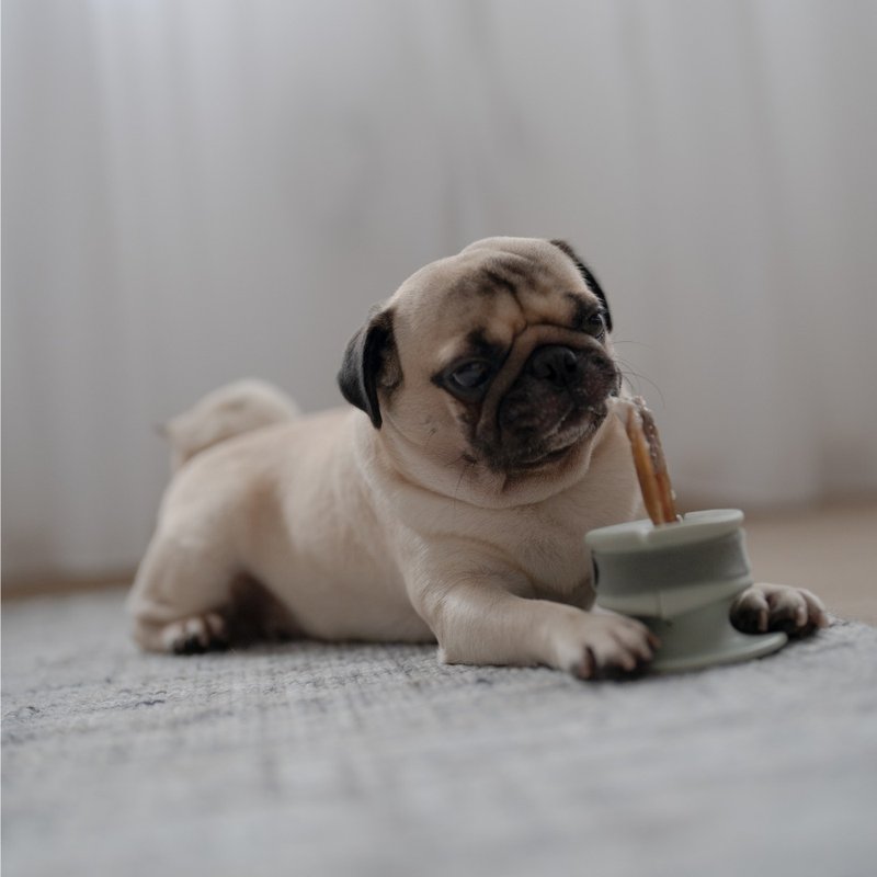 【Lunoji】 CHEWDEN 咬咬握 - 啃咬 安全 抗忧解 - 碗/碗架 - 其他材质 绿色