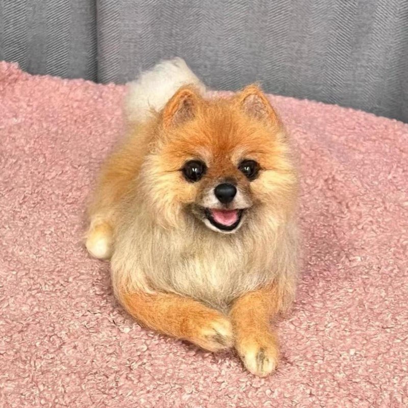 定制 逼真犬 毛孩 宠物 博美犬 羊毛毡 娃娃 似颜绘 纪念 狗狗 #1 - 玩具 - 羊毛 多色