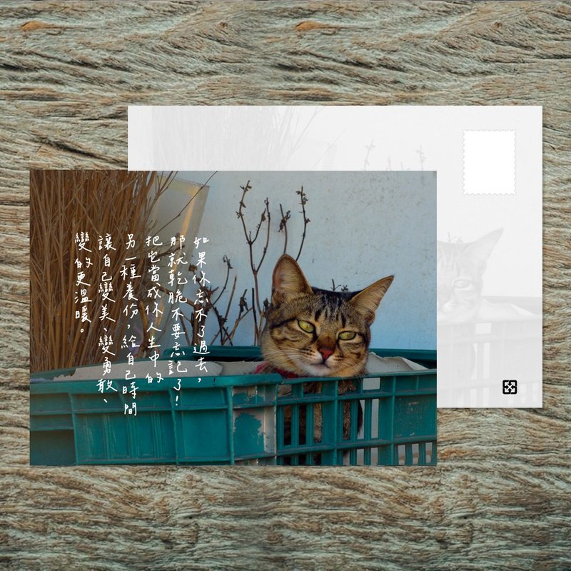 No.B16 明信片 / 如果你忘不了过去 / 任选买10送1 - 卡片/明信片 - 纸 多色