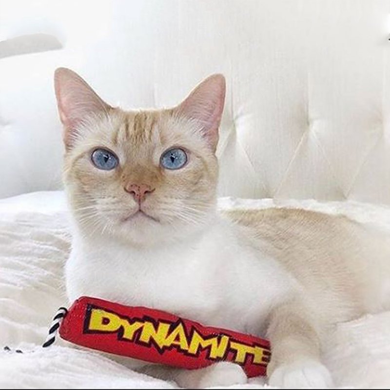 猫草玩具 魔力红鞭炮 - 玩具 - 其他材质 