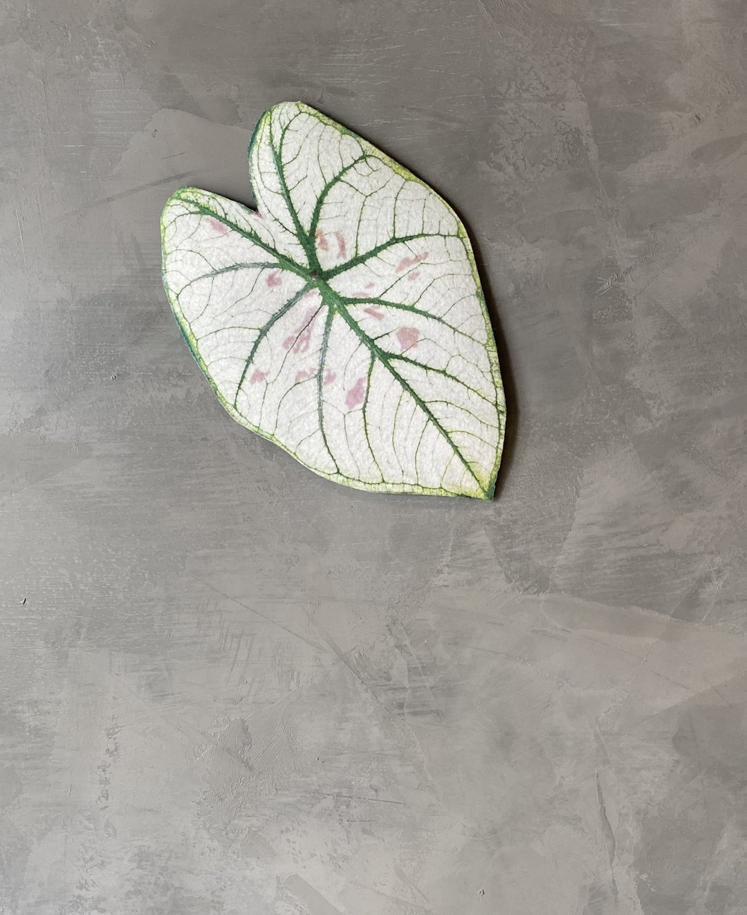 BLR 观叶植物 造型万用垫F3 草莓之星 彩叶芋 龟背芋 蔓绿绒 - 摆饰 - 其他人造纤维 白色