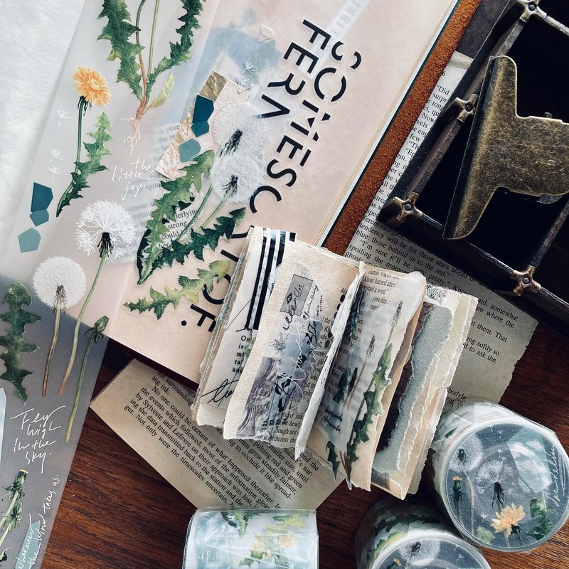 蒲雪 / 5.0cm 植系雾面PET胶带 - 纸胶带 - 塑料 白色