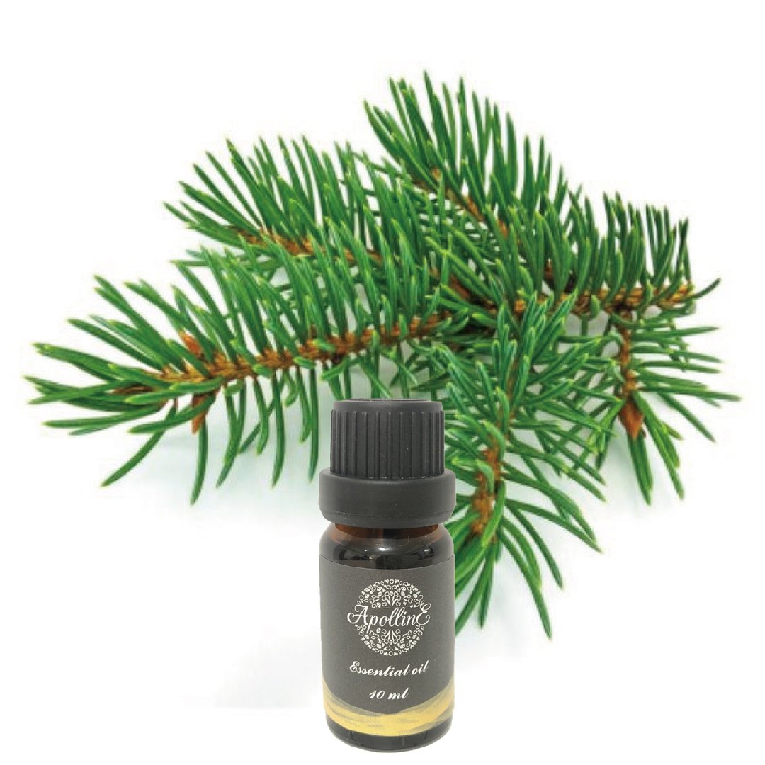 西柏利亚冷杉精油 PINE SIBERIA - 香薰/精油/线香 - 精油 