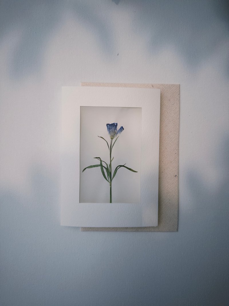 Airness 押花心意卡 - 卡片/明信片 - 纸 白色