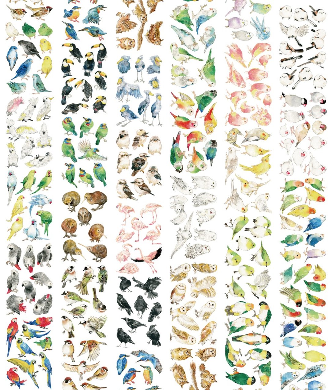 歪画的鸟/PET/8CM/2circles - 纸胶带 - 纸 多色