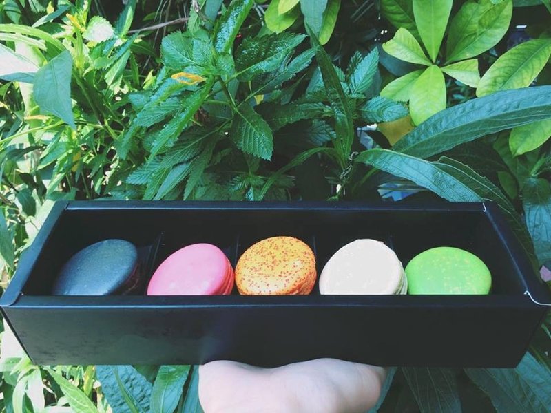 HERSTON 5入马卡龙 【 Plante    植物系列 】 - 蛋糕/甜点 - 纸 多色