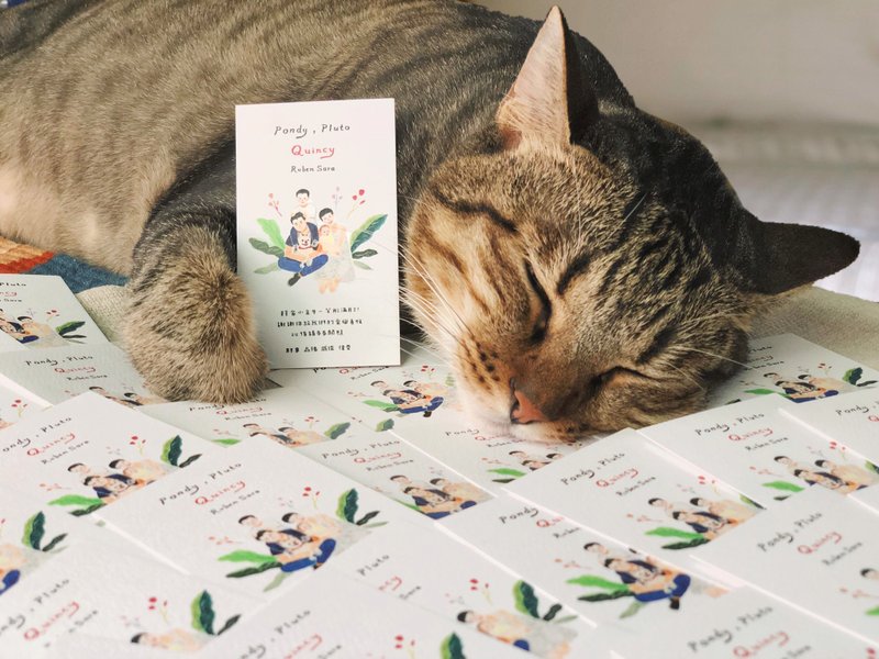 纪念品加购 | 节日 | 纪念 - 满月礼盒 - 其他材质 白色