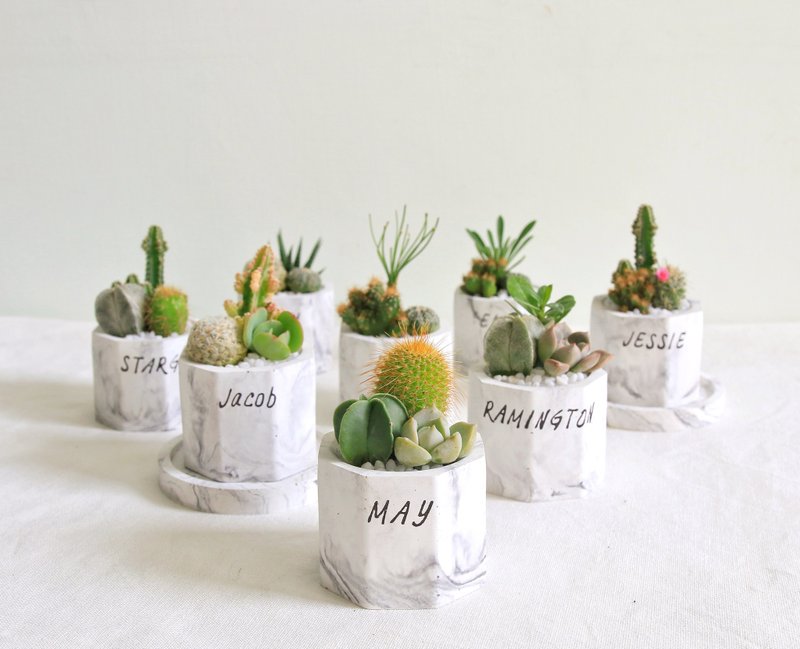 mini八角形水泥盆栽 定制英文字母 - 植栽/盆栽 - 水泥 灰色