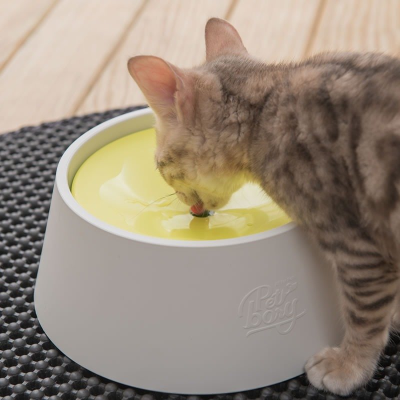 与毛孩的美好生活小物 - 抗菌98.7% 只喝干净水的碗(狗&猫都能使用) - 碗/碗架 - 塑料 绿色