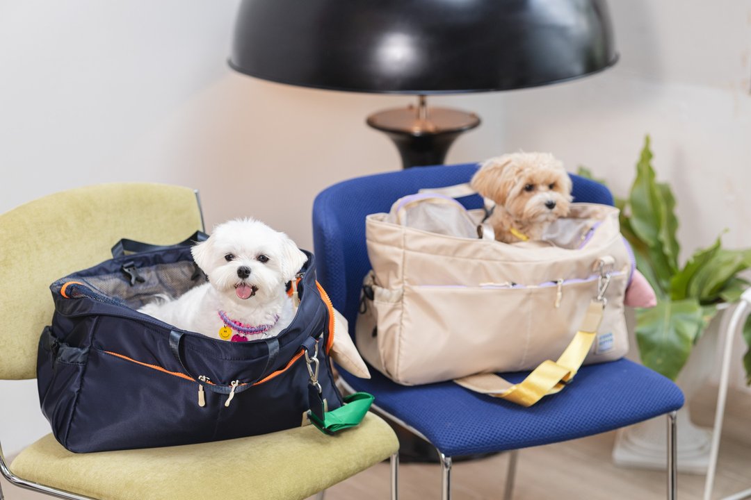CousCous Carrier - pet bag carrier - 外出包 - 尼龙 多色