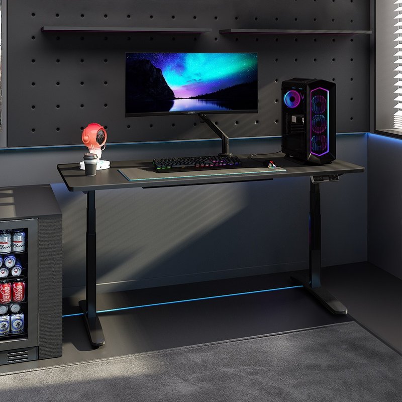 【升级款】Flexispot 三节 磁吸式收纳 电动升降桌 120*60桌组 - 餐桌/书桌 - 木头 