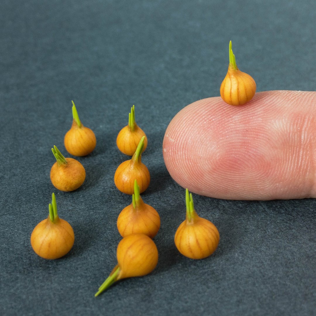 Mini vegetables scale 1:12 for dollhouse. Miniature onion handmade  polymer clay - 玩偶/公仔 - 粘土 橘色