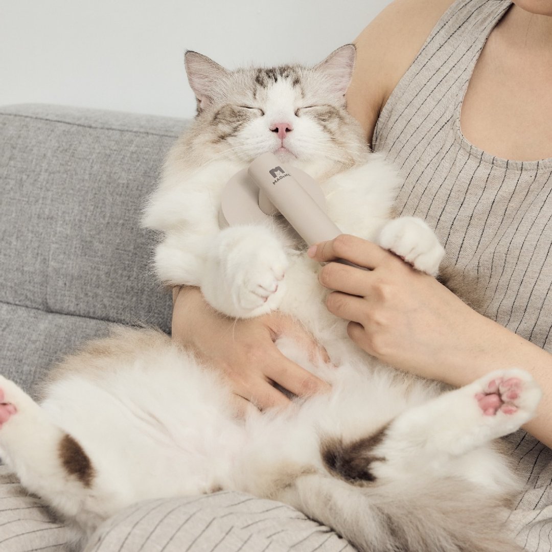 【 MAO&ME 毛极品】推推毛毛梳 宠物钢针梳 毛发梳 狗梳子 猫梳子 - 其他 - 其他材质 
