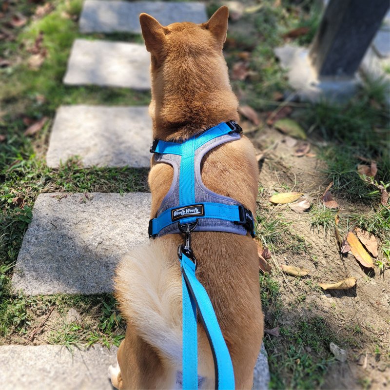 Woofy Woofy 户外轻量胸背带 天空蓝 不勒气管 - 衣/帽 - 聚酯纤维 蓝色