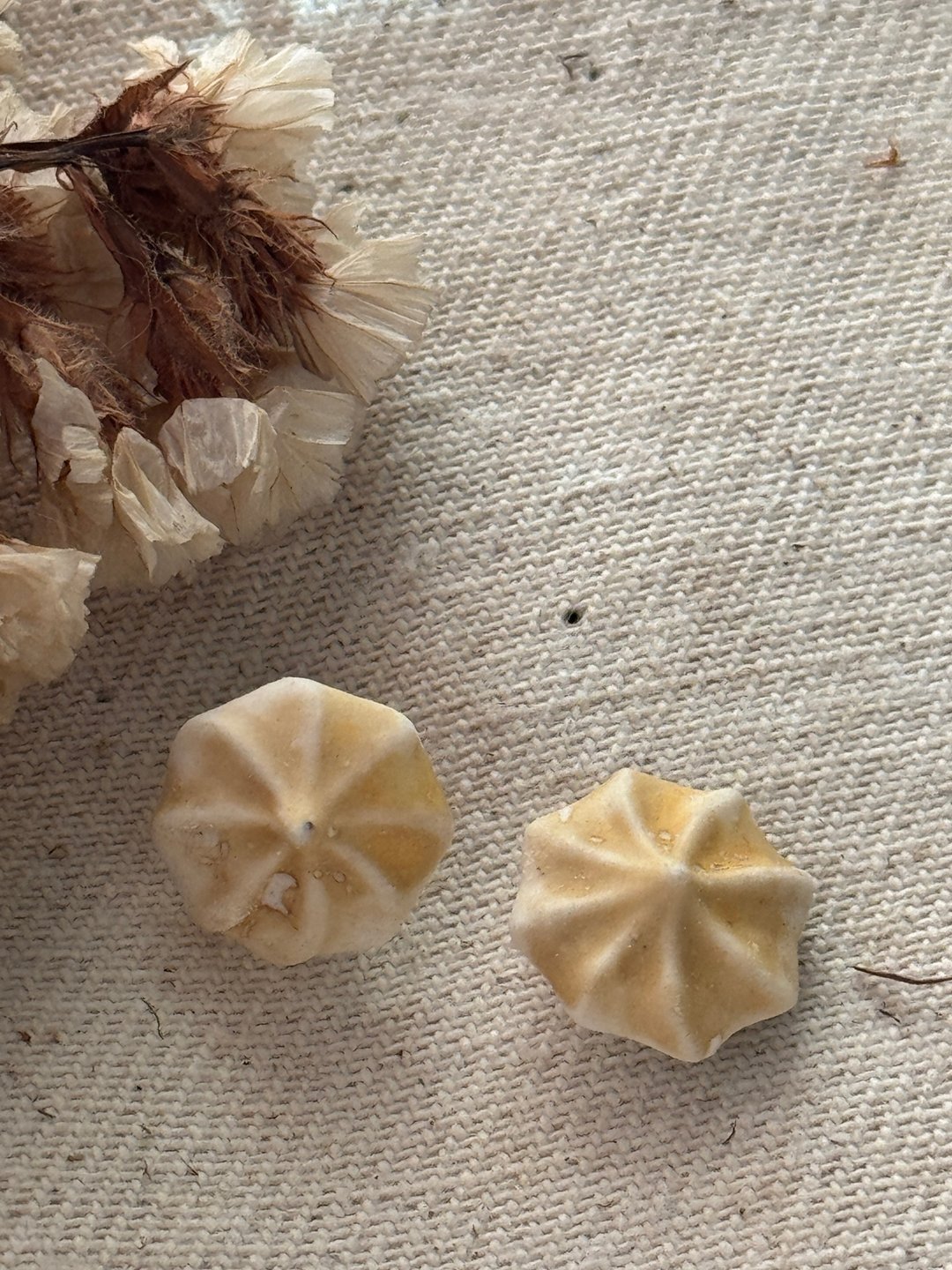 奶油小黄花耳环 - 耳环/耳夹 - 瓷 白色