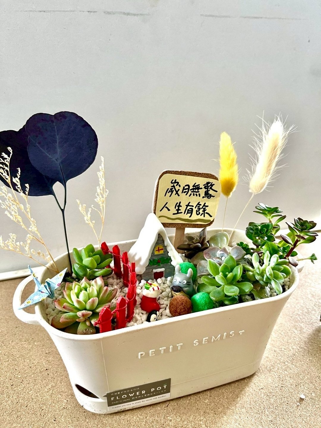 多肉组盆 多肉植物 日式枯山水 煤炭精灵 龙猫 吉卜力 植物盆栽 - 植栽/盆栽 - 植物．花 绿色