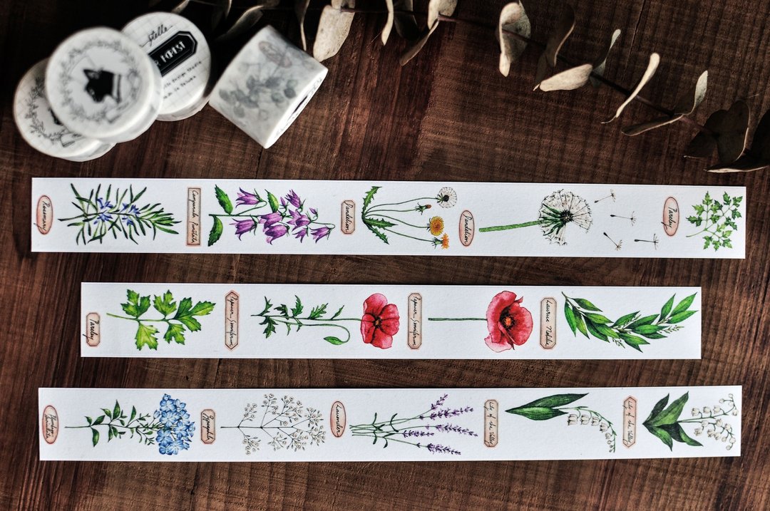 夏日森林纸胶带-植物/夏天/采集/标本/拼贴/手帐/3.5cm - 纸胶带 - 纸 多色