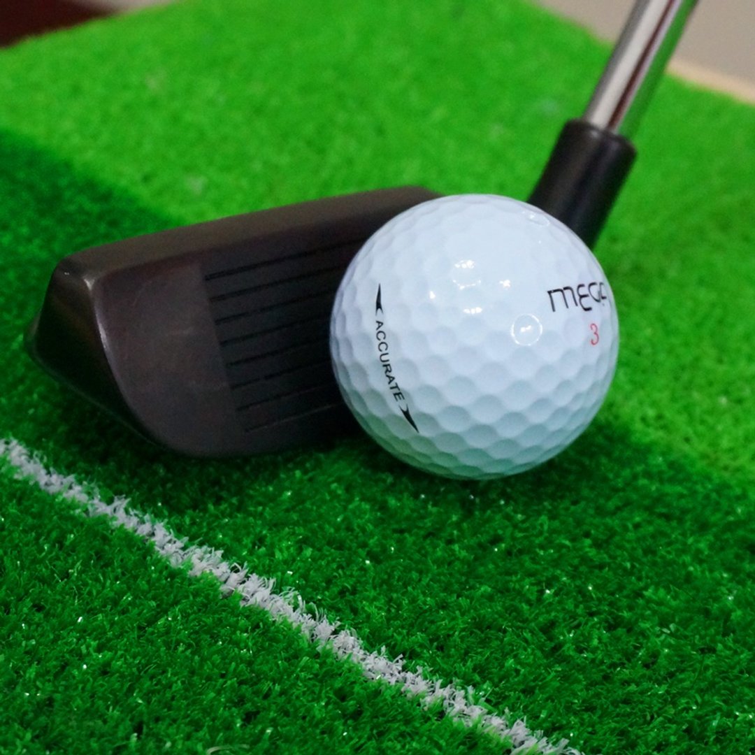 【MEGA GOLF】RC 果岭切推杆 PUTTER 高尔夫切推杆 切推杆 宝刀切推 - 运动/健身用品 - 其他材质 