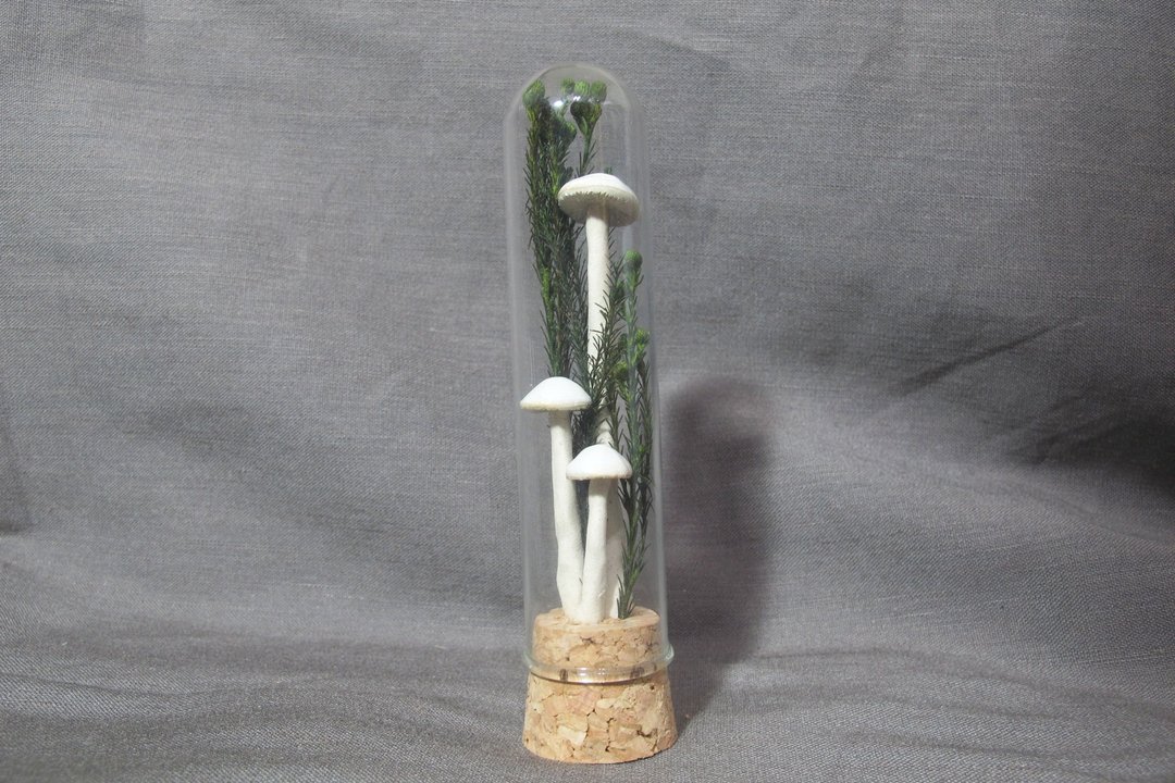 野菇试管摆饰-雾面雪白菇 - 摆饰 - 陶 白色