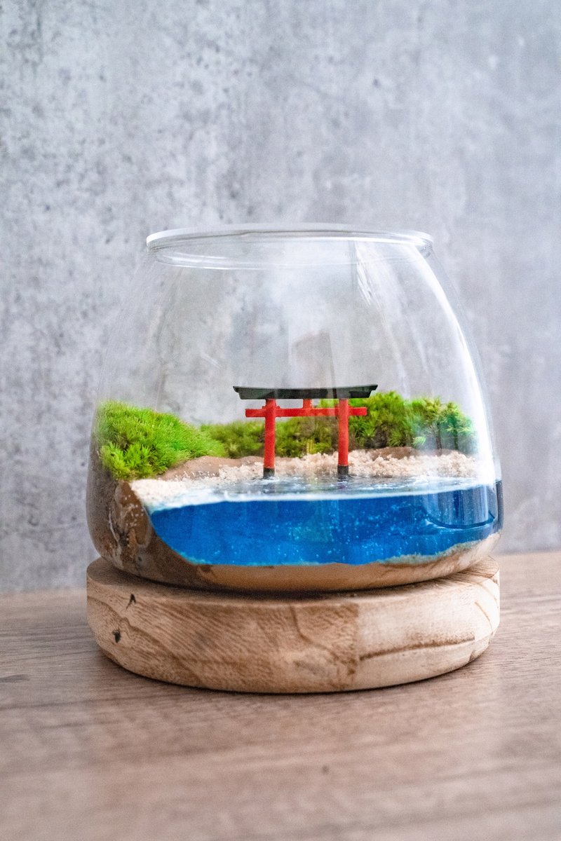 鸟居与海 苔藓生态瓶 - 植栽/盆栽 - 植物．花 绿色