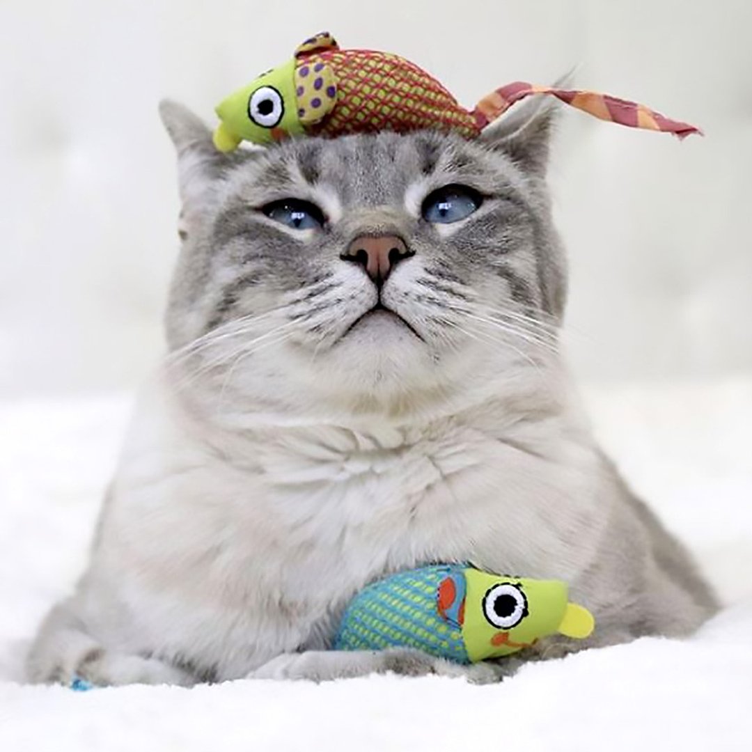 猫草玩具 健齿网状鼠 (2入) 猫咪洁牙 - 玩具 - 其他材质 