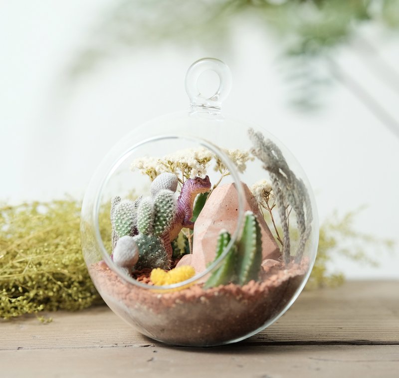 岩石系玻璃盆景-恐龙多肉盆栽材料包   Succulents potted - 植栽/盆栽 - 玻璃 咖啡色