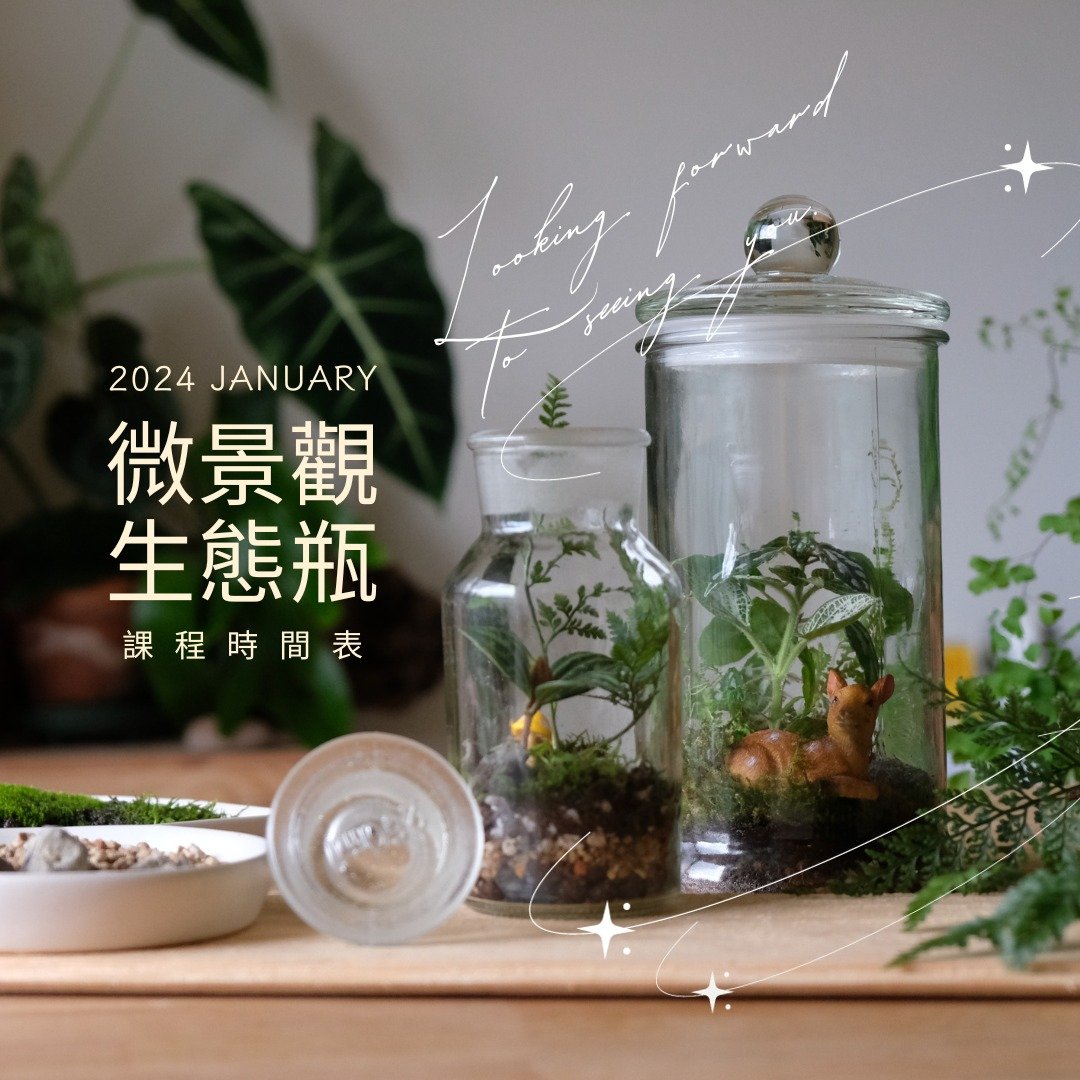 企业团体课程 | 微景疗愈生态瓶手作体验_台北手作课程 - 植栽 - 植物．花 