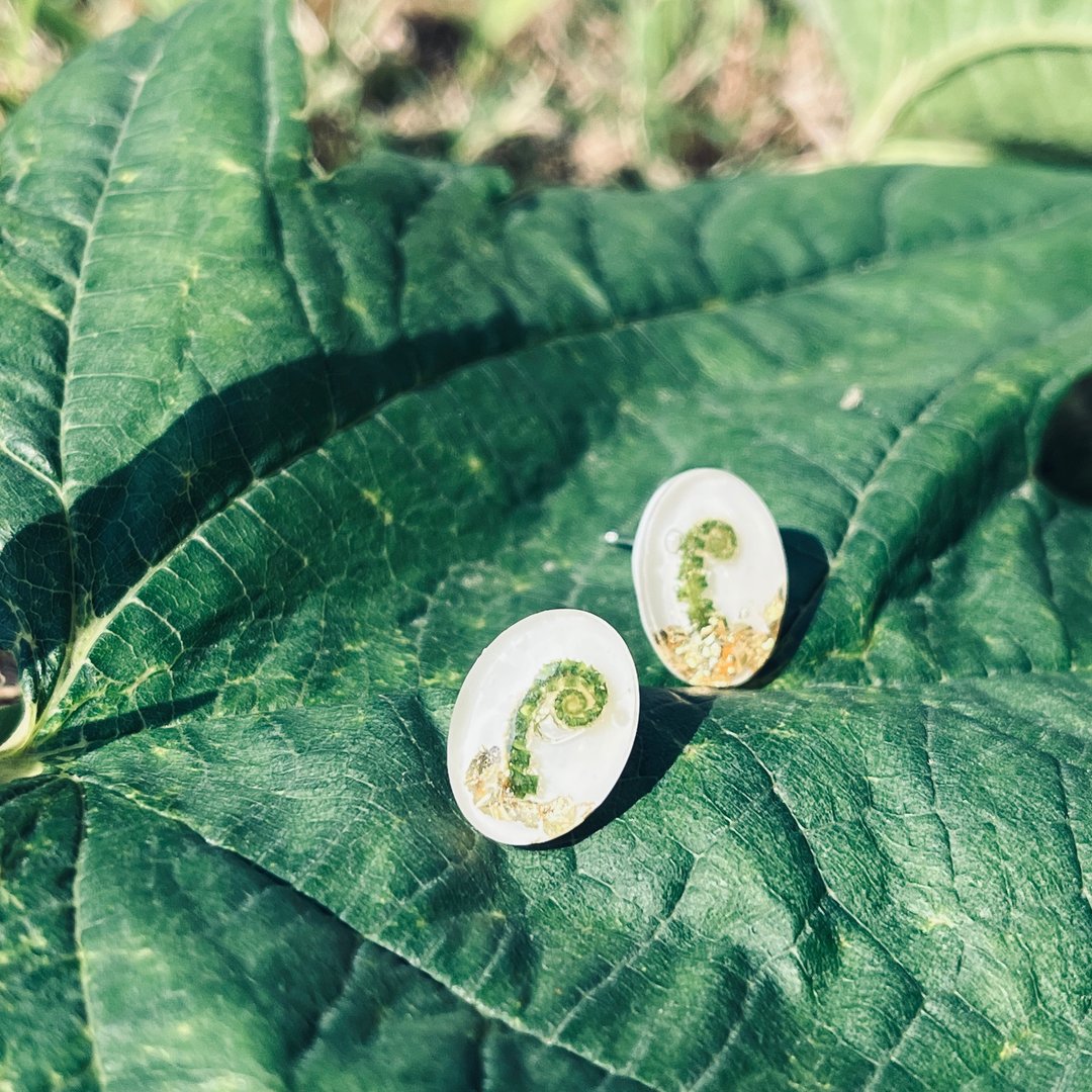 新生。卷卷(贴耳耳环) - 耳环/耳夹 - 植物．花 绿色