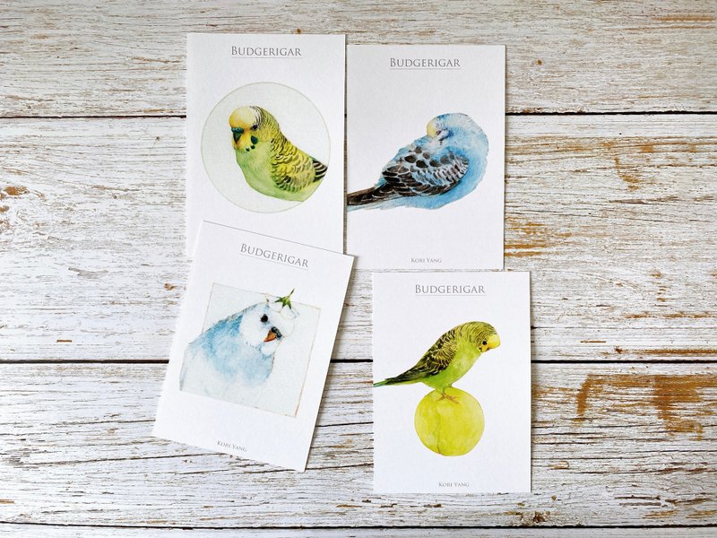 水彩鸟儿明信片组 32 虎皮鹦鹉 - 卡片/明信片 - 纸 