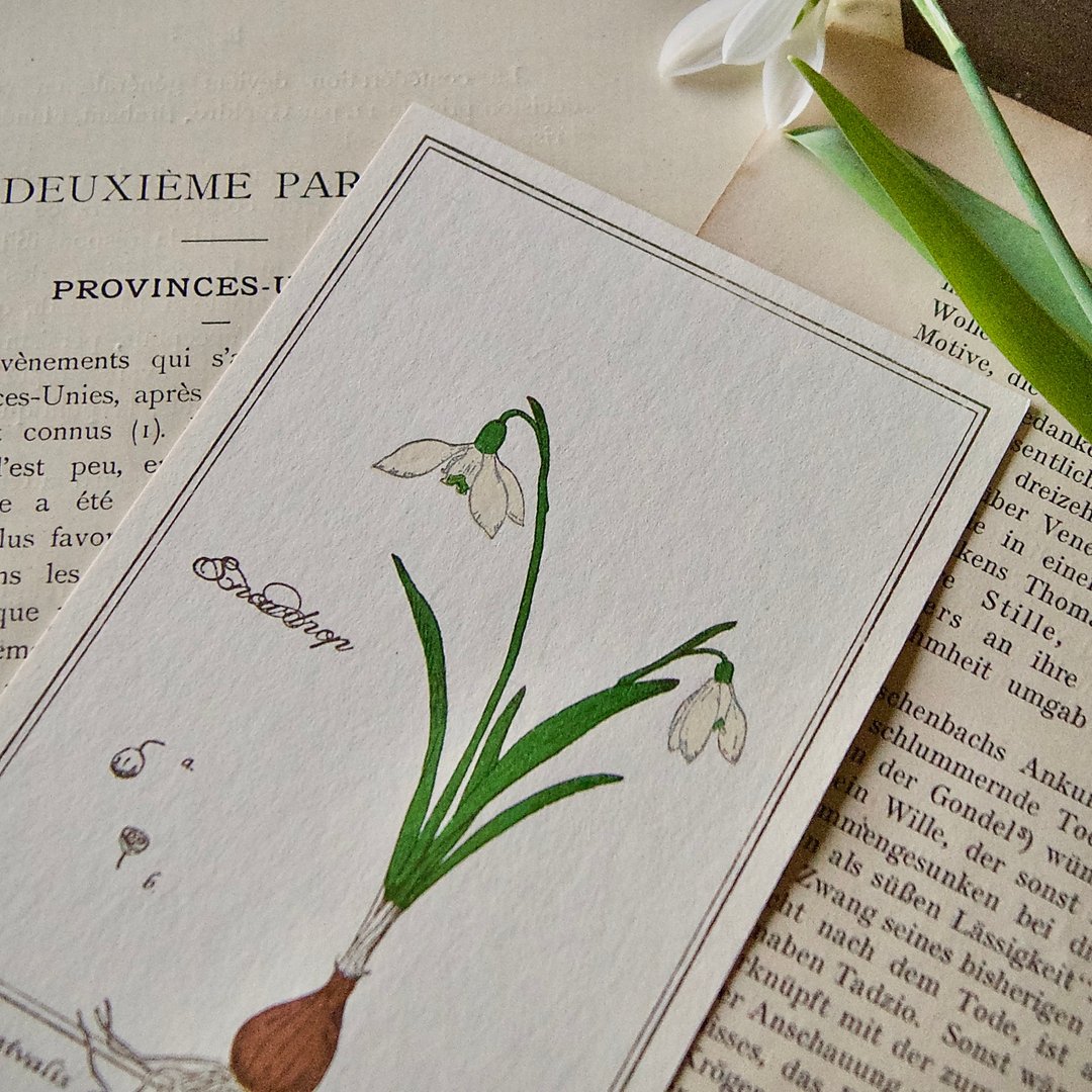 [Postcard] Snowdrop / Letterpress Printing / 100x148mm - 卡片/明信片 - 纸 