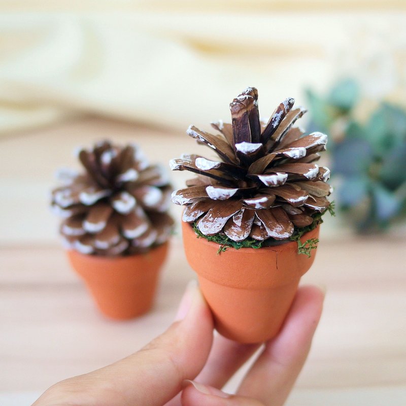 雪季松果小陶盆 单个 加购 勿 "单独订购" - 植栽/盆栽 - 植物．花 咖啡色