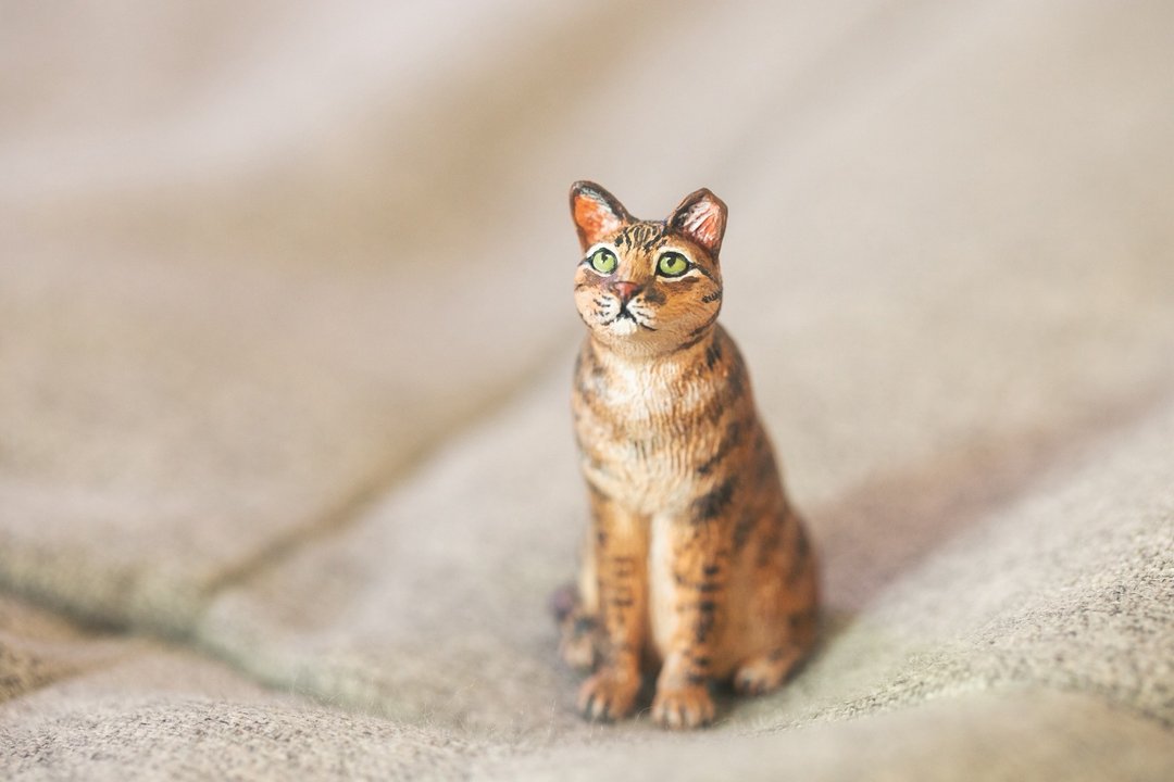 猫咪 定制化宠物手工黏土模型 加急件 - 玩偶/公仔 - 粘土 灰色