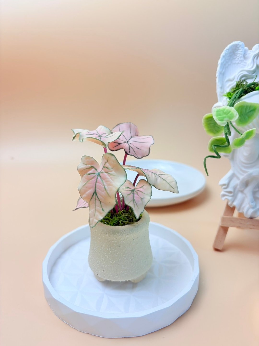 【体验活动】韩国IFA 观叶植物石膏捏塑体验班 - 植栽 - 玻璃 