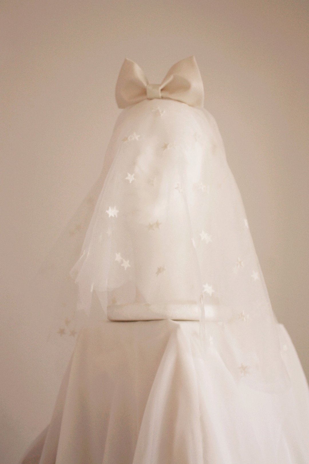 头纱25号Wedding Veil NO.25 - 其他 - 纸 白色