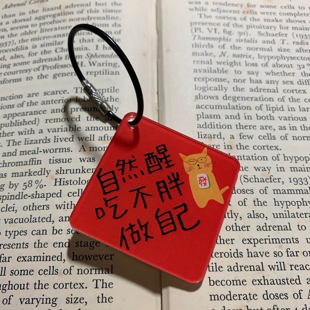 自然醒 吃不胖 做自己 - 龙年春联斗方压克力吊饰钥匙圈挂饰 - 吊饰 - 压克力 黄色