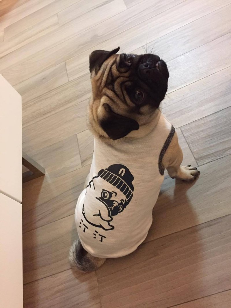 宠物衣服订制 巴哥 Pug 反光衣 - 衣/帽 - 棉．麻 多色