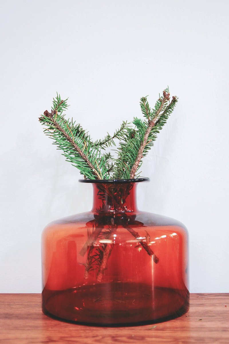 DULTON 玻璃矮罐L / 花器 - 植栽/盆栽 - 玻璃 