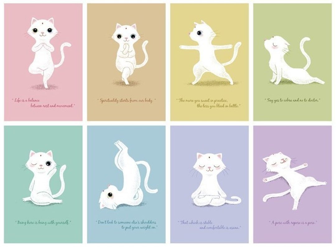 Poca 插画明信片 : 瑜珈猫信片组(八款) - 卡片/明信片 - 纸 多色
