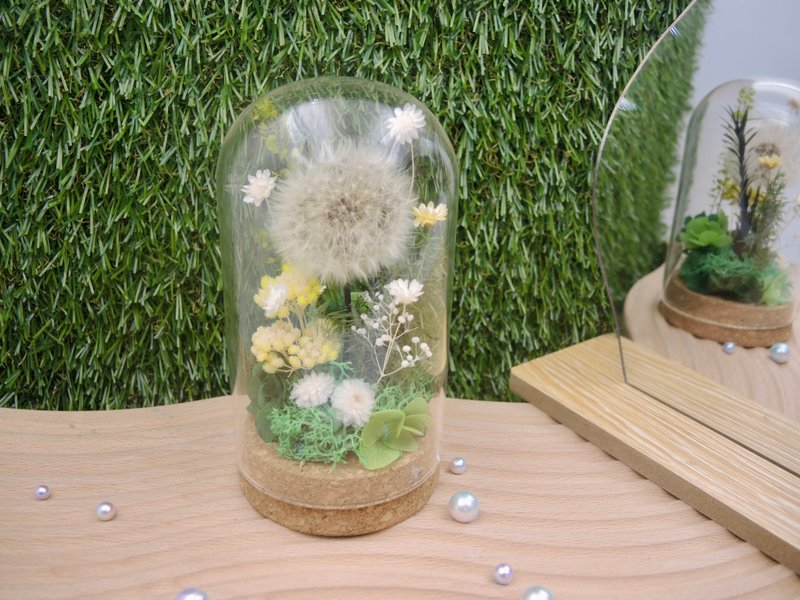 蒲公英 永生蒲公英玻璃罩 干燥花 永生花 婚礼小物 定制化礼物 - 干燥花/捧花 - 植物．花 白色